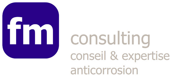 Logo fm consulting